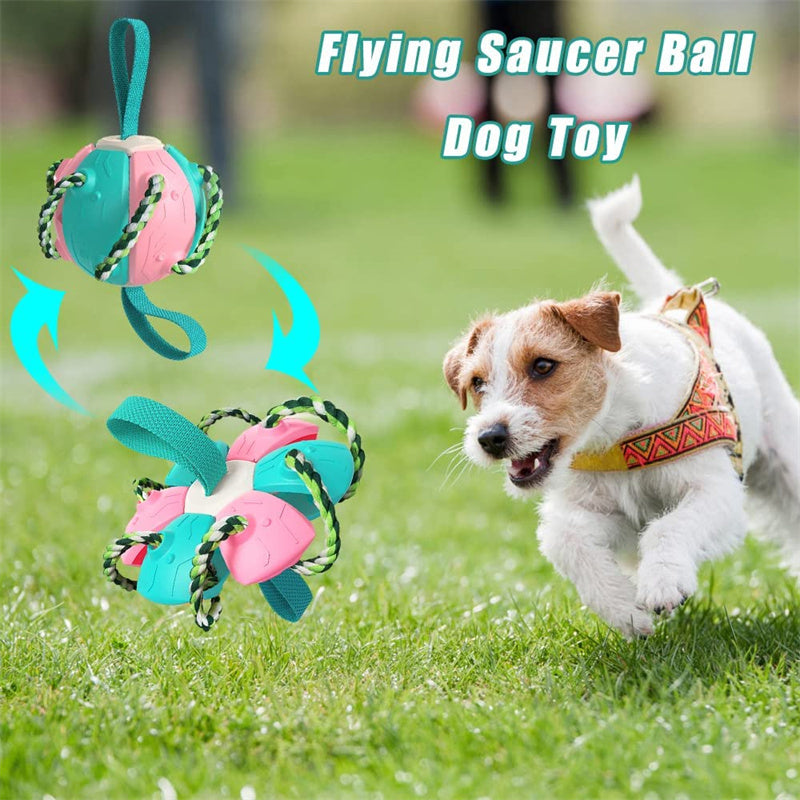 Interactive Dog Soccer Ball – Training Toy with Tabs for Outdoor Play