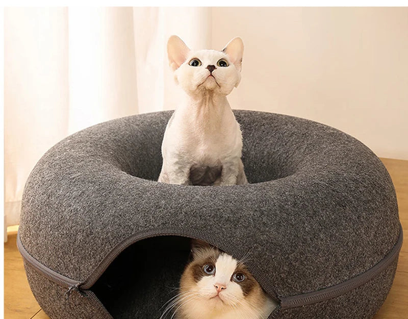 Donut Cat Bed & Tunnel – Peekaboo Cave for 2 Cats