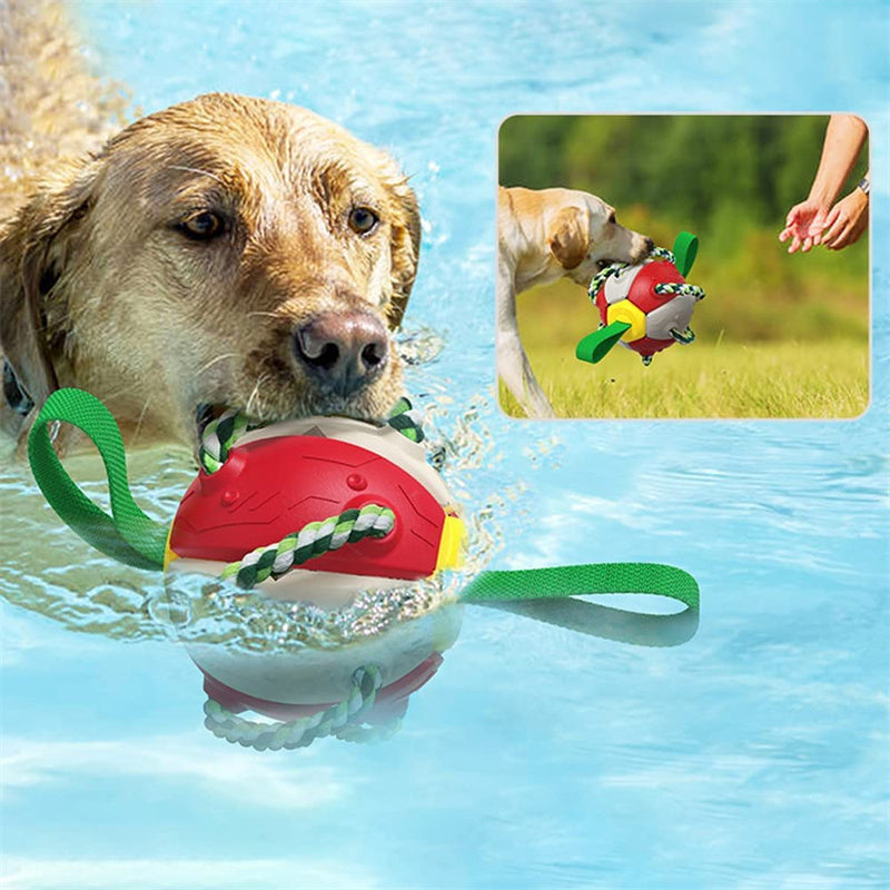 Interactive Dog Soccer Ball – Training Toy with Tabs for Outdoor Play