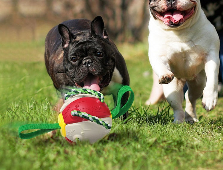 Interactive Dog Soccer Ball – Training Toy with Tabs for Outdoor Play